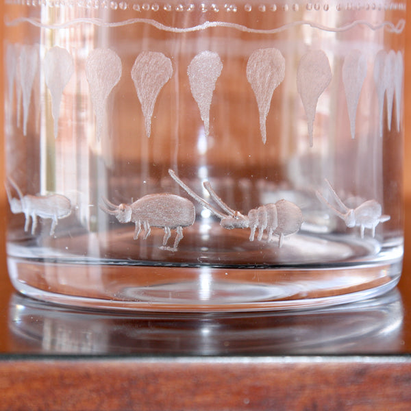 close up detail of engraved glass insects on a vase designed by erik hoglund sweden
